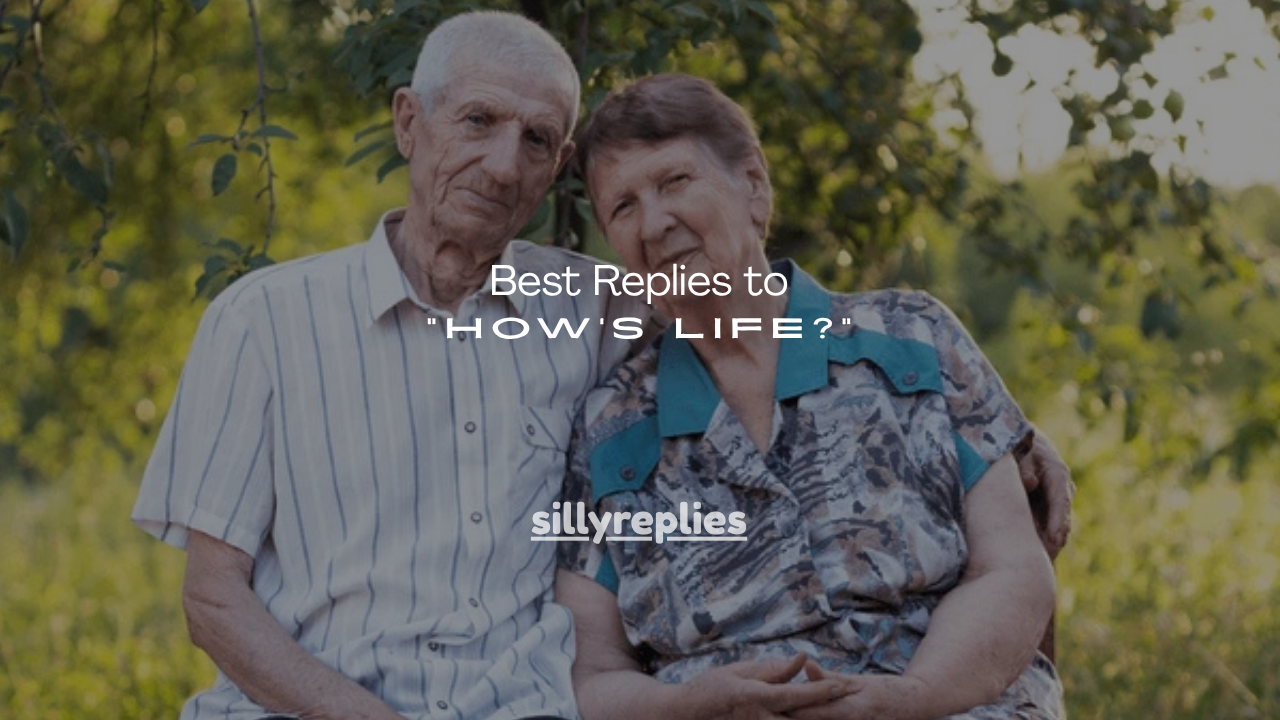 150+ Best Replies to “How’s Life?”